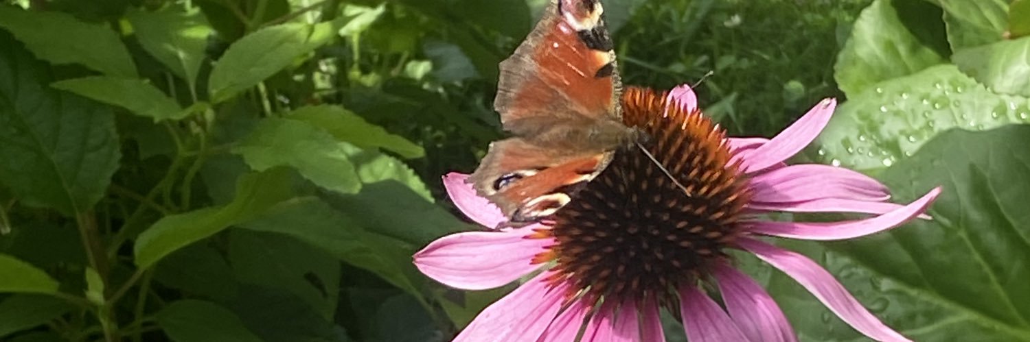 Lisa@Home 💚👠🇪🇺 banner