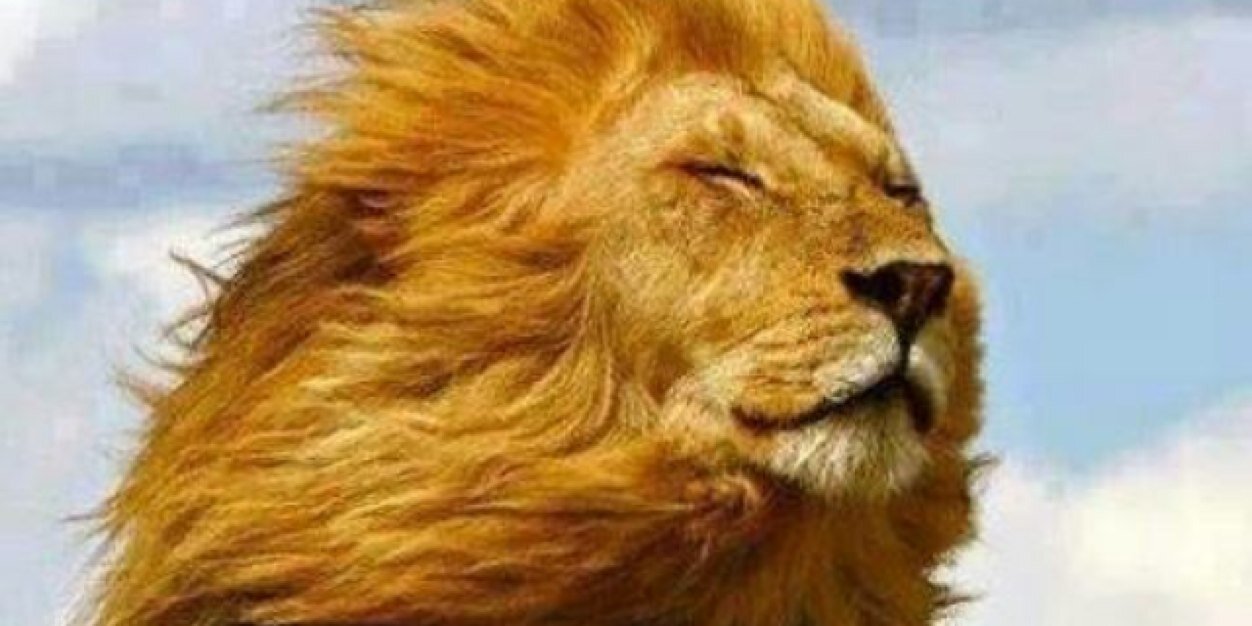 joanderb7's profile banner image