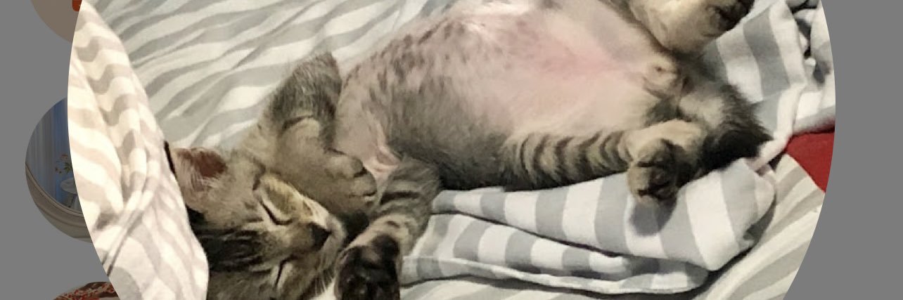 _missdora_'s profile banner image