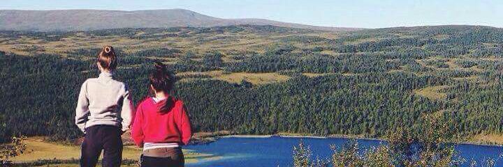elingjertsaas's profile banner image