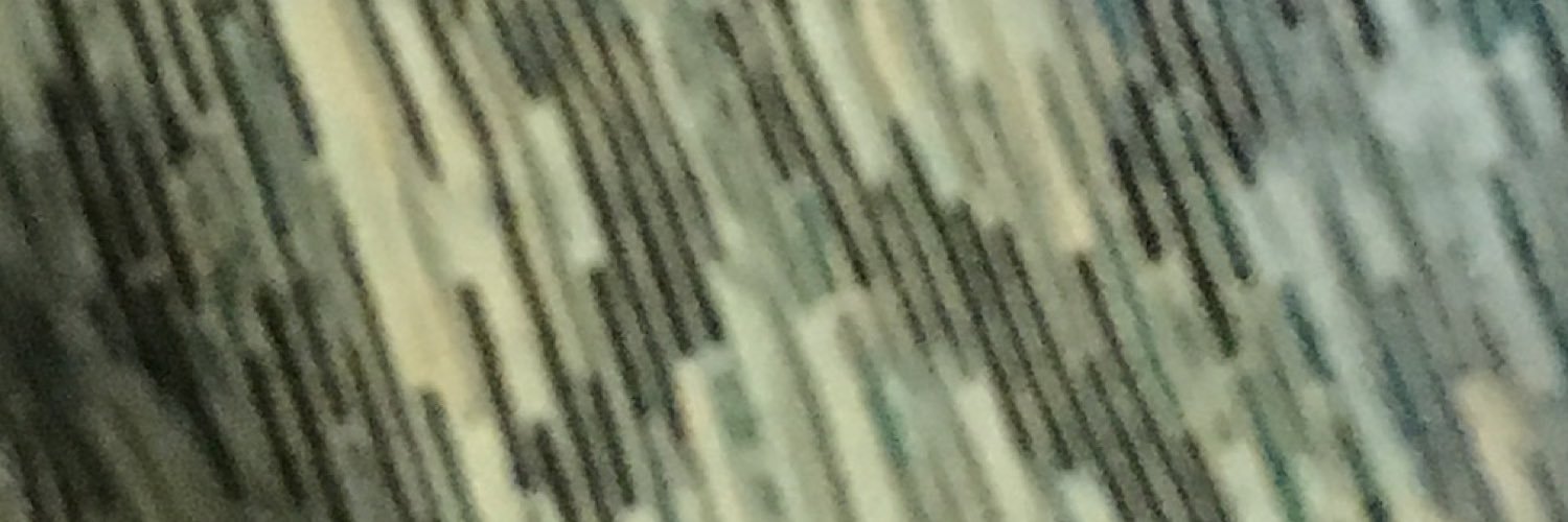 thisisrobyn's profile banner image