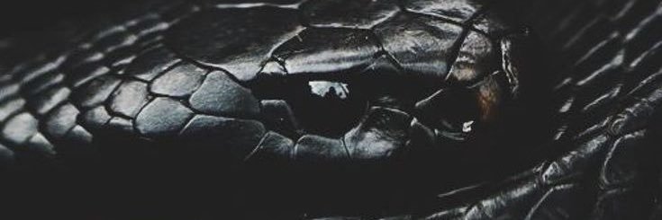 SPoryadina's profile banner image