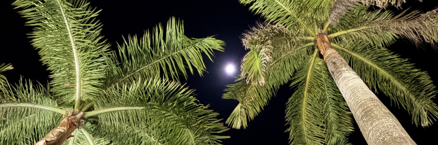 EricSteyer's profile banner image