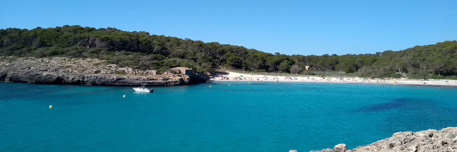 Libros y excursiones banner