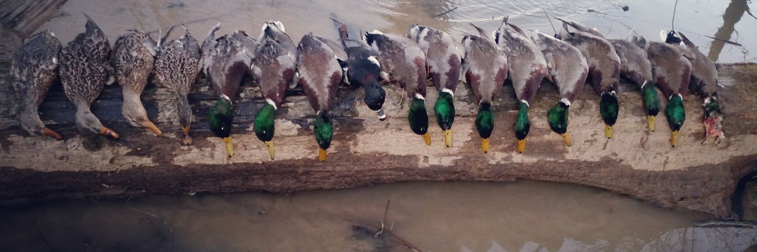 Tyler Hickman banner