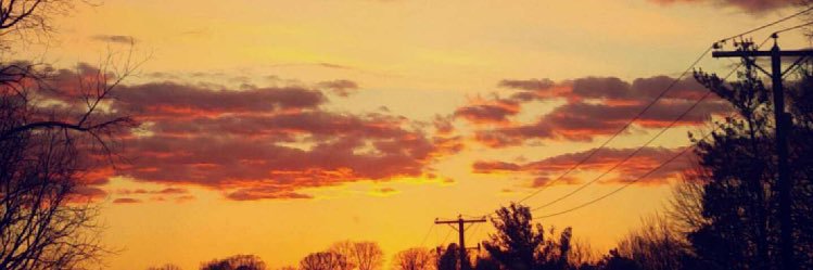 reillyjo_'s profile banner image