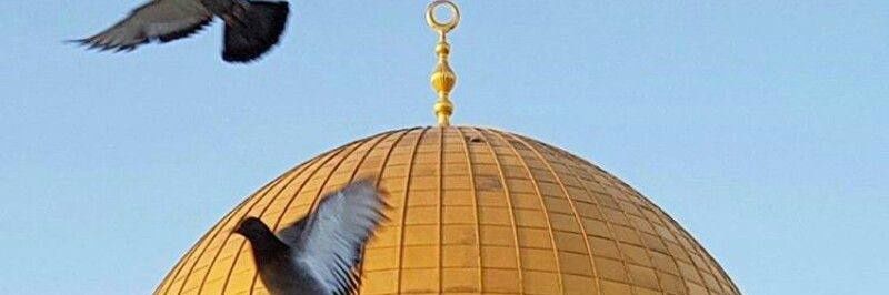 Fatooma_alsari's profile banner image