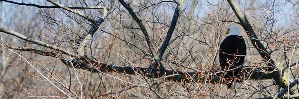 zunran Profile Banner