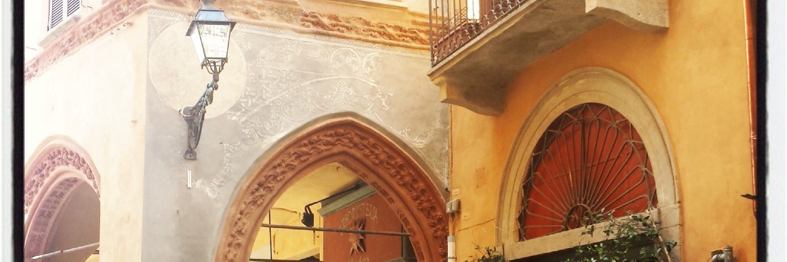 terreriflesse banner