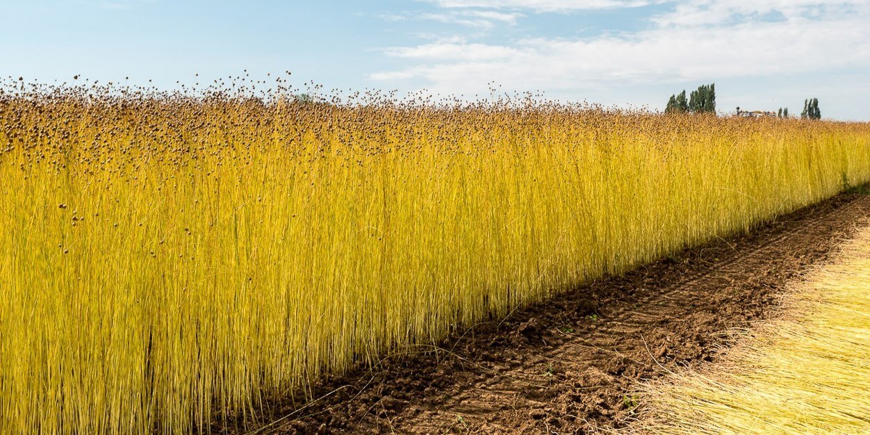 Decock frederic banner