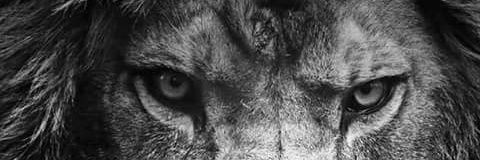 ciihhaan's profile banner image