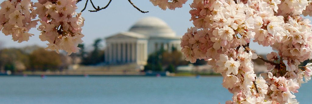 LeteChilds's profile banner image