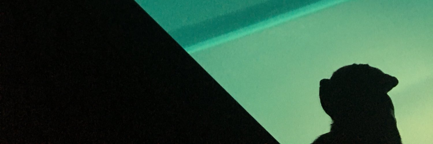 ClineLUBIN's profile banner image