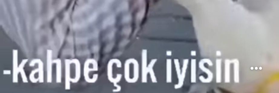 can banner