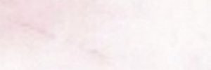 Seanawhitty's profile banner image