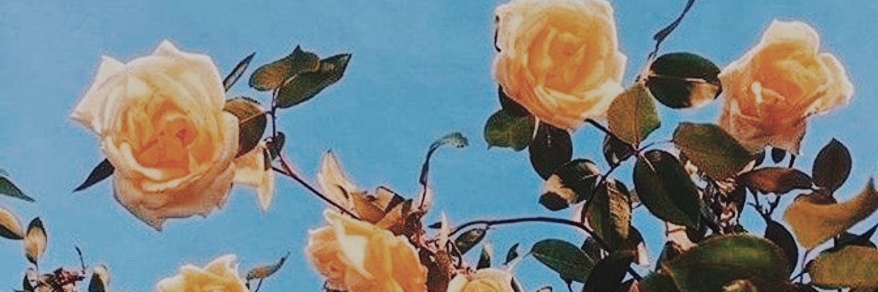 florescences_'s profile banner image