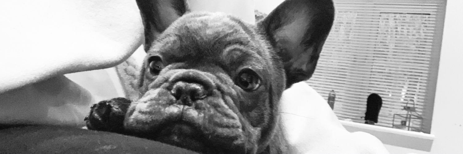 sophiemaynard_'s profile banner image