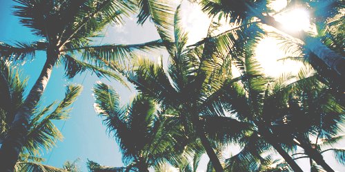 onlydynast_d's profile banner image