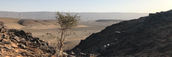 RDMECOLOGY Profile Banner