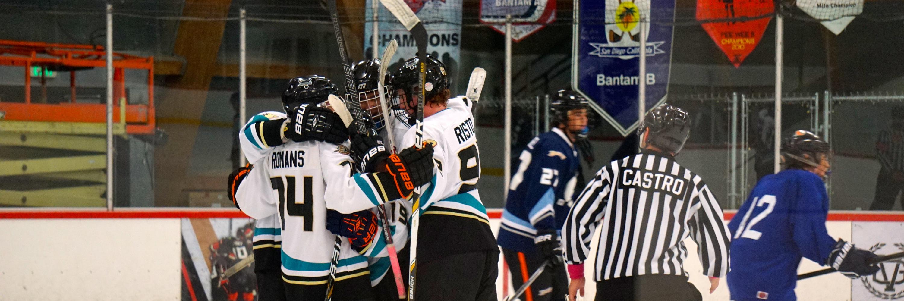 cnstingrays's profile banner image