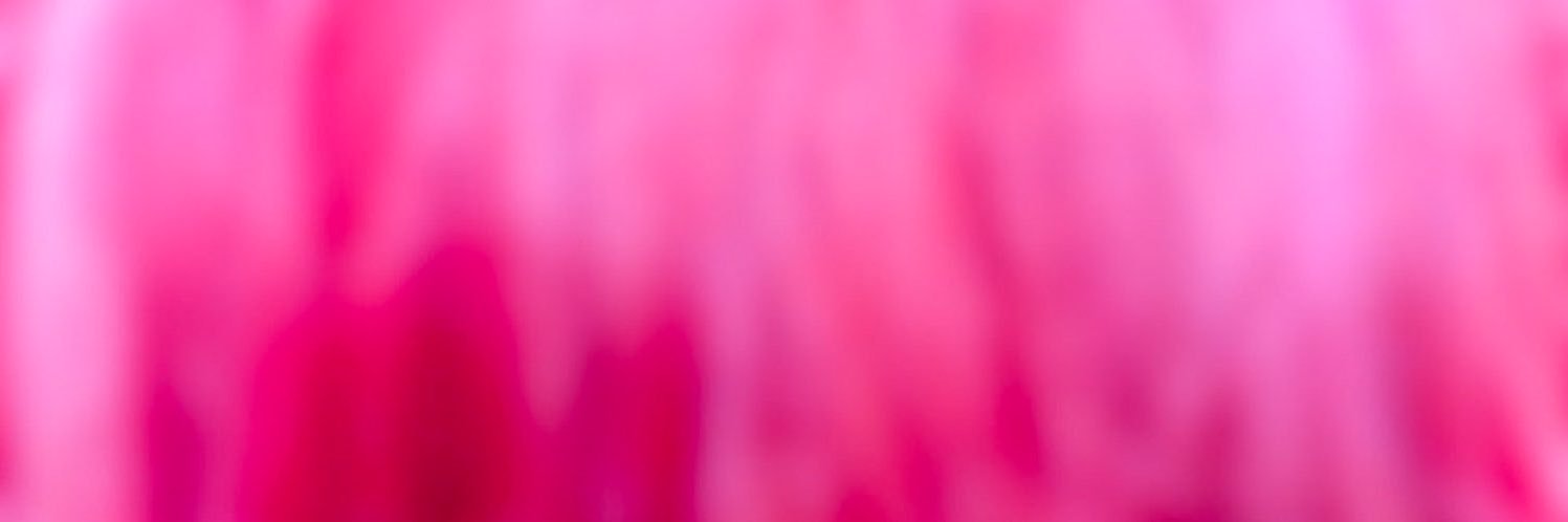 Theresia's profile banner image