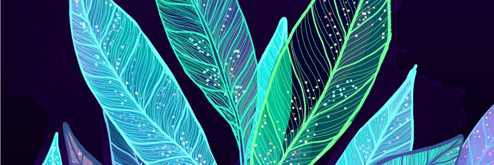 chulo_creative's profile banner image