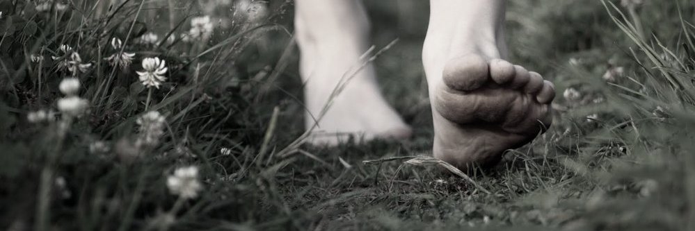 Mahdi_farshbaf's profile banner image