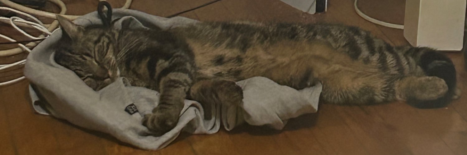 - banner