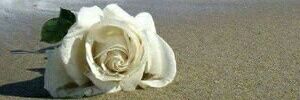 anasno1's profile banner image