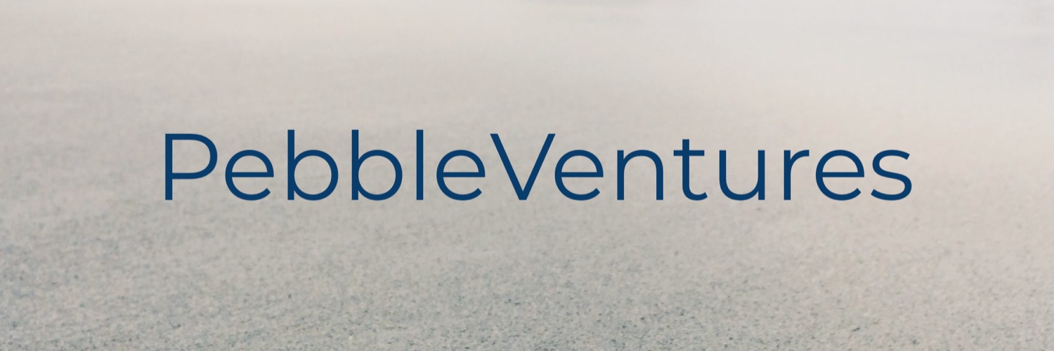 Pebble Ventures banner