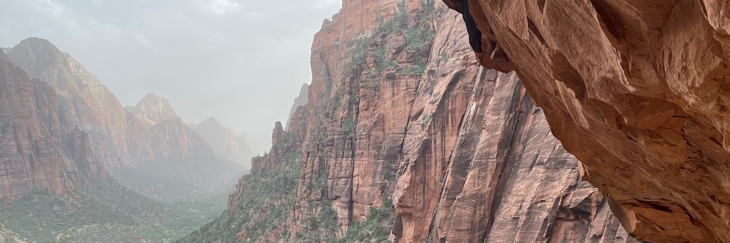 RachelSudyn's profile banner image