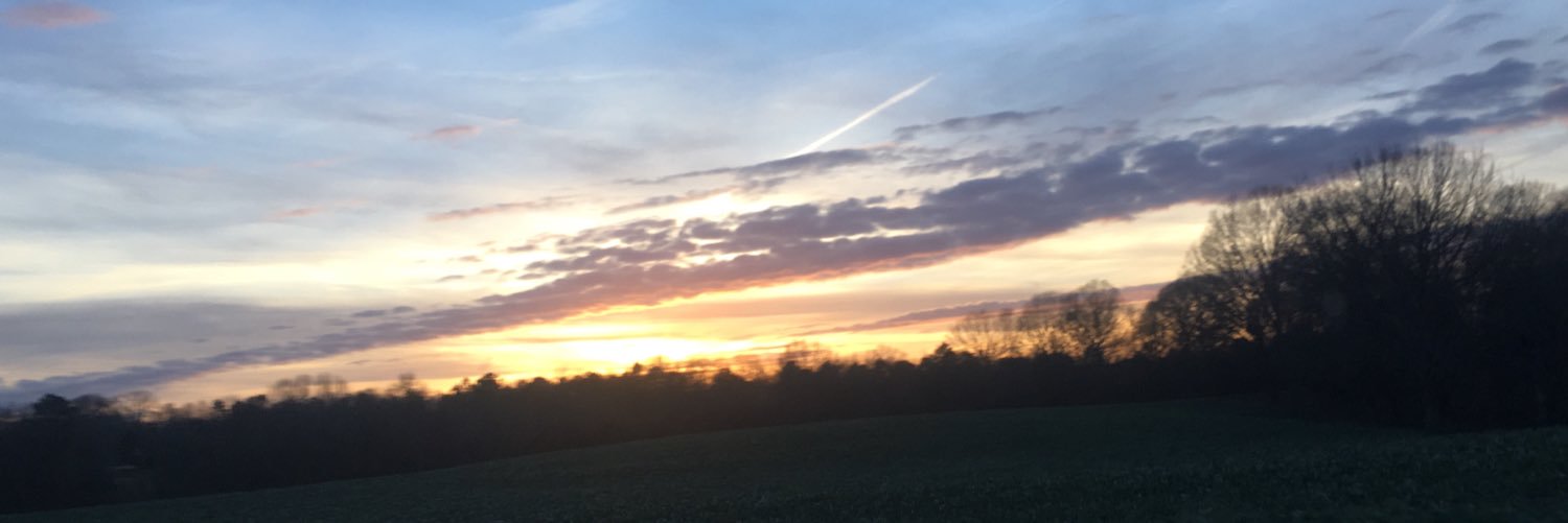 haleeeyyysmith's profile banner image