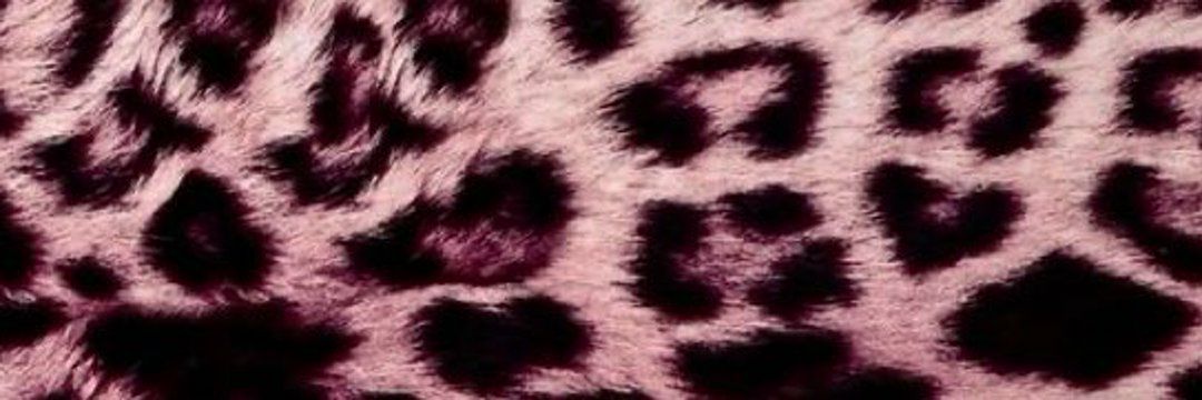 Crremmie♣️🤎💸 banner