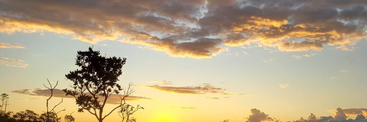 milafabri's profile banner image
