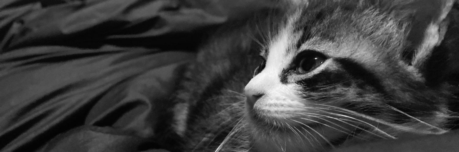 NRmarqueze's profile banner image
