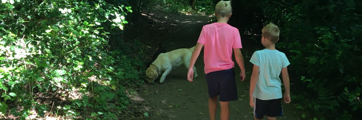 jbkelly5's profile banner image