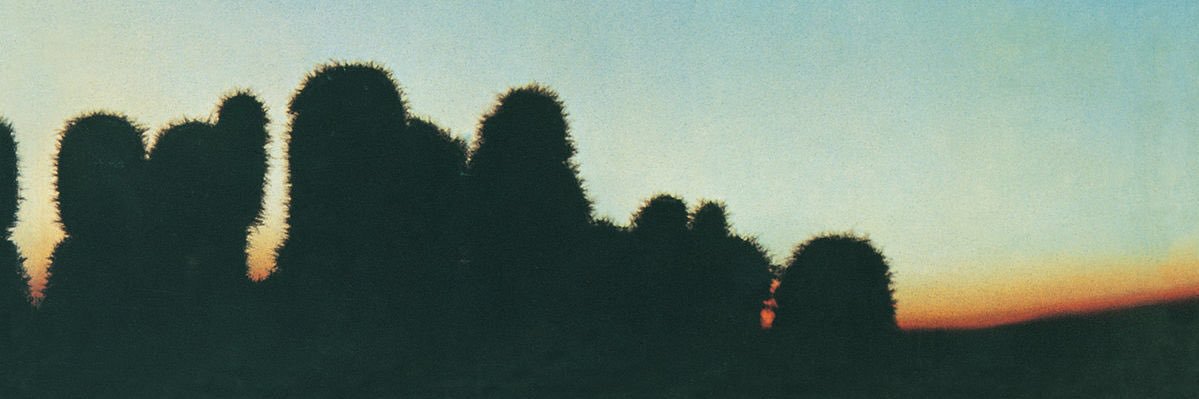 Jimmy J. Sanchez banner