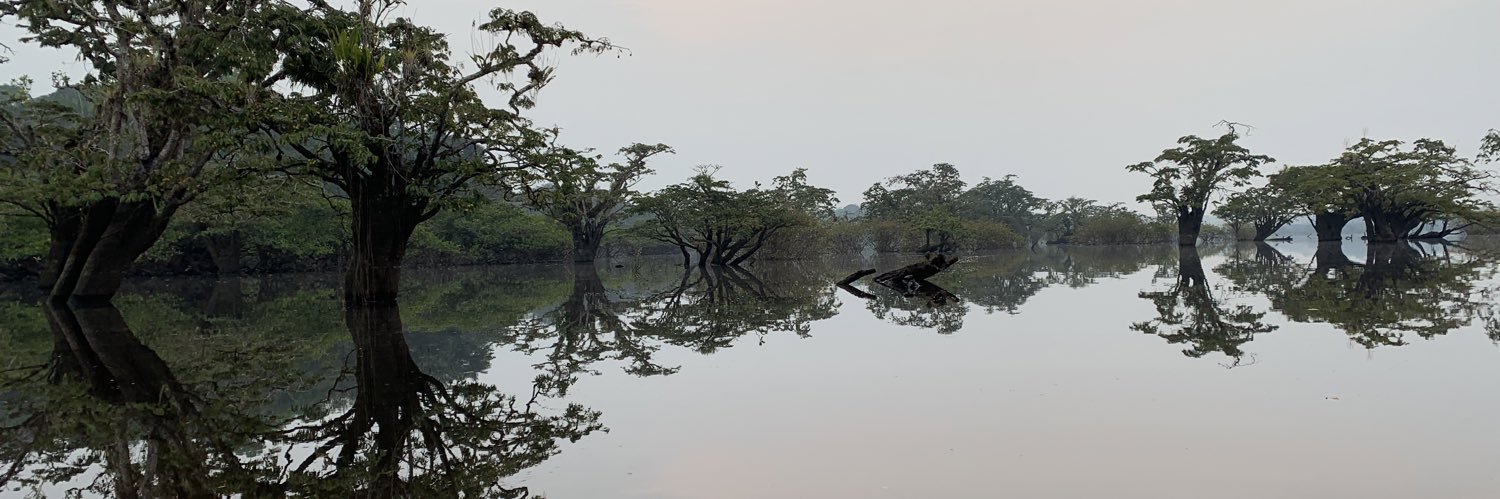 Diego Anazco, MD banner