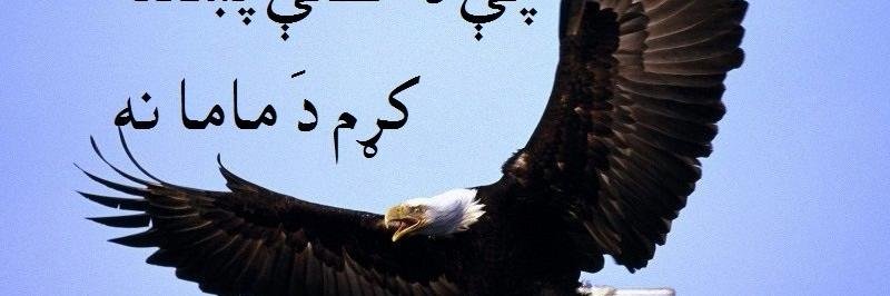 Eagle148's profile banner image