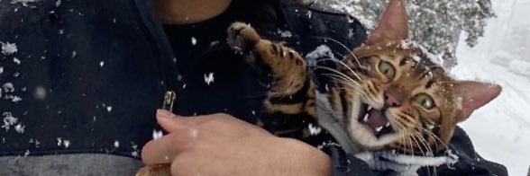 Jraw_'s profile banner image