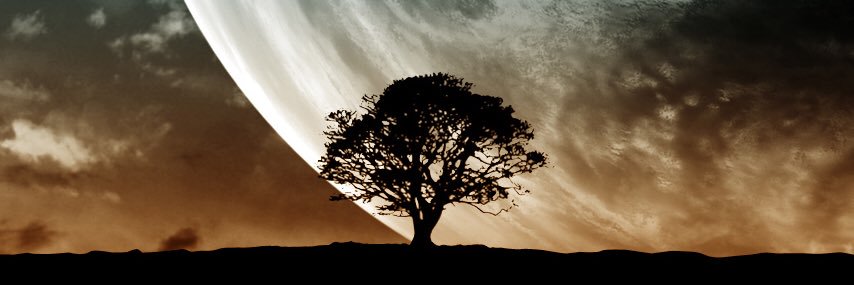 Domenghinho's profile banner image