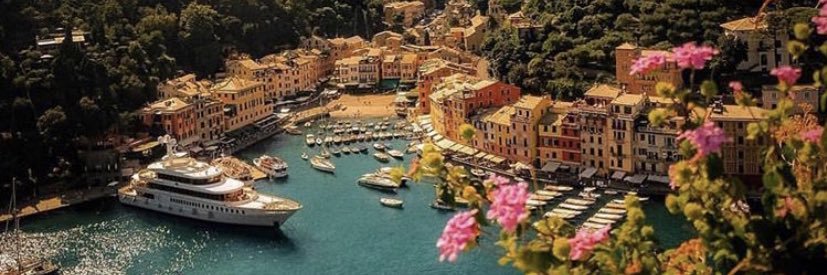 Daphne Perugini banner