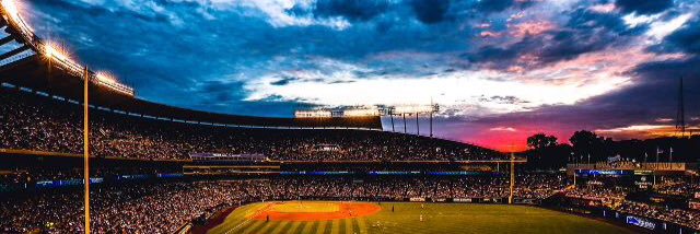 Baseball life banner