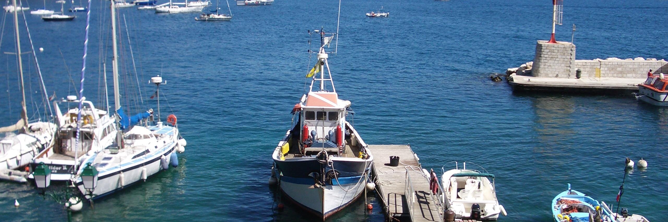 Charlie Radnor banner