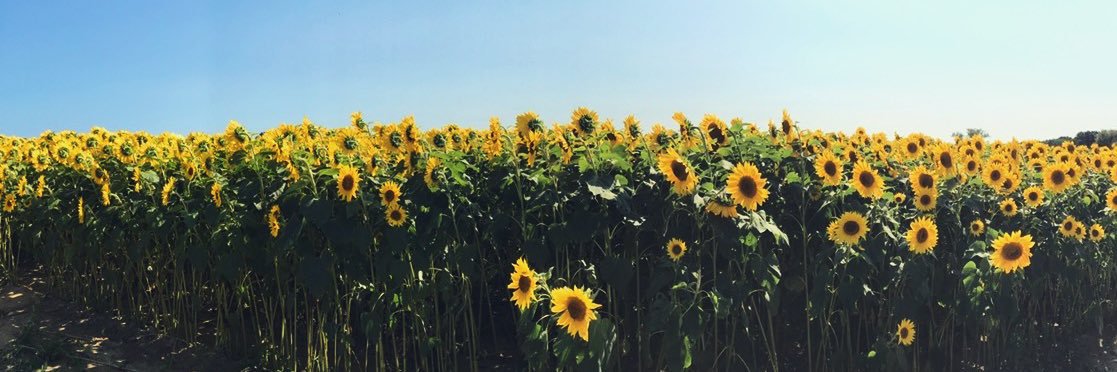 JPuch19's profile banner image