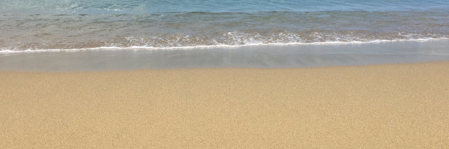 lerimal's profile banner image