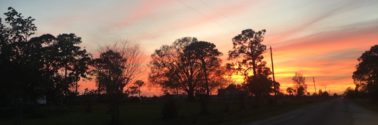 cheyenne_skyee's profile banner image