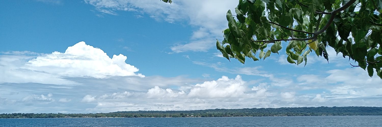 thomoalis1's profile banner image