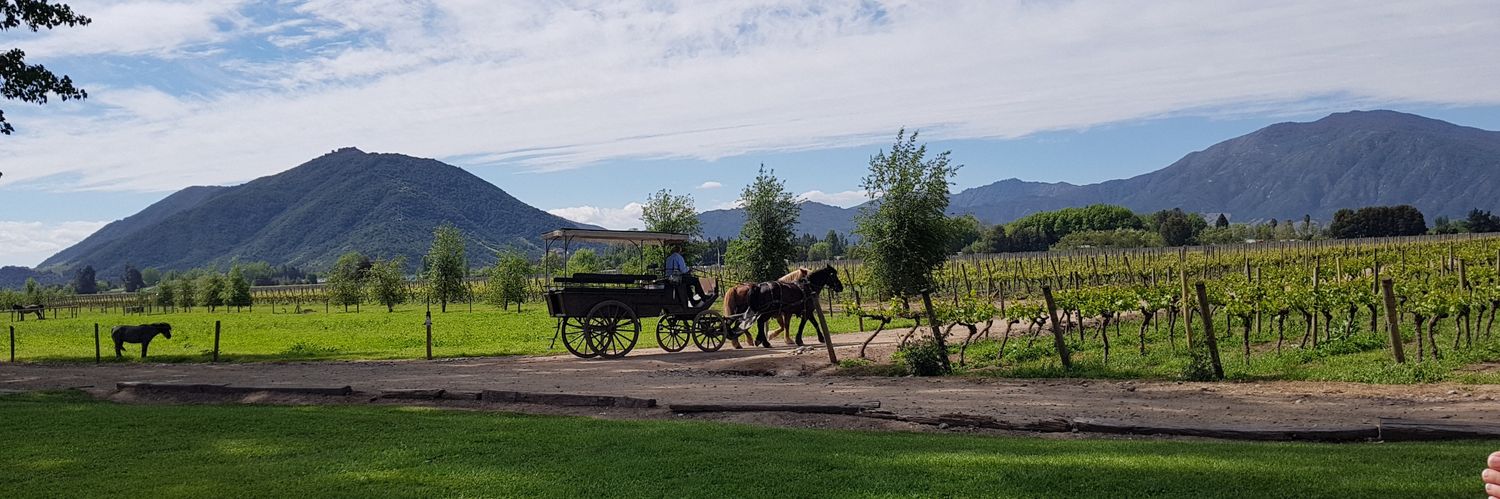 José Ignacio Acuña banner