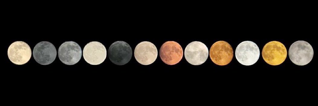 KaylaTheGemini's profile banner image